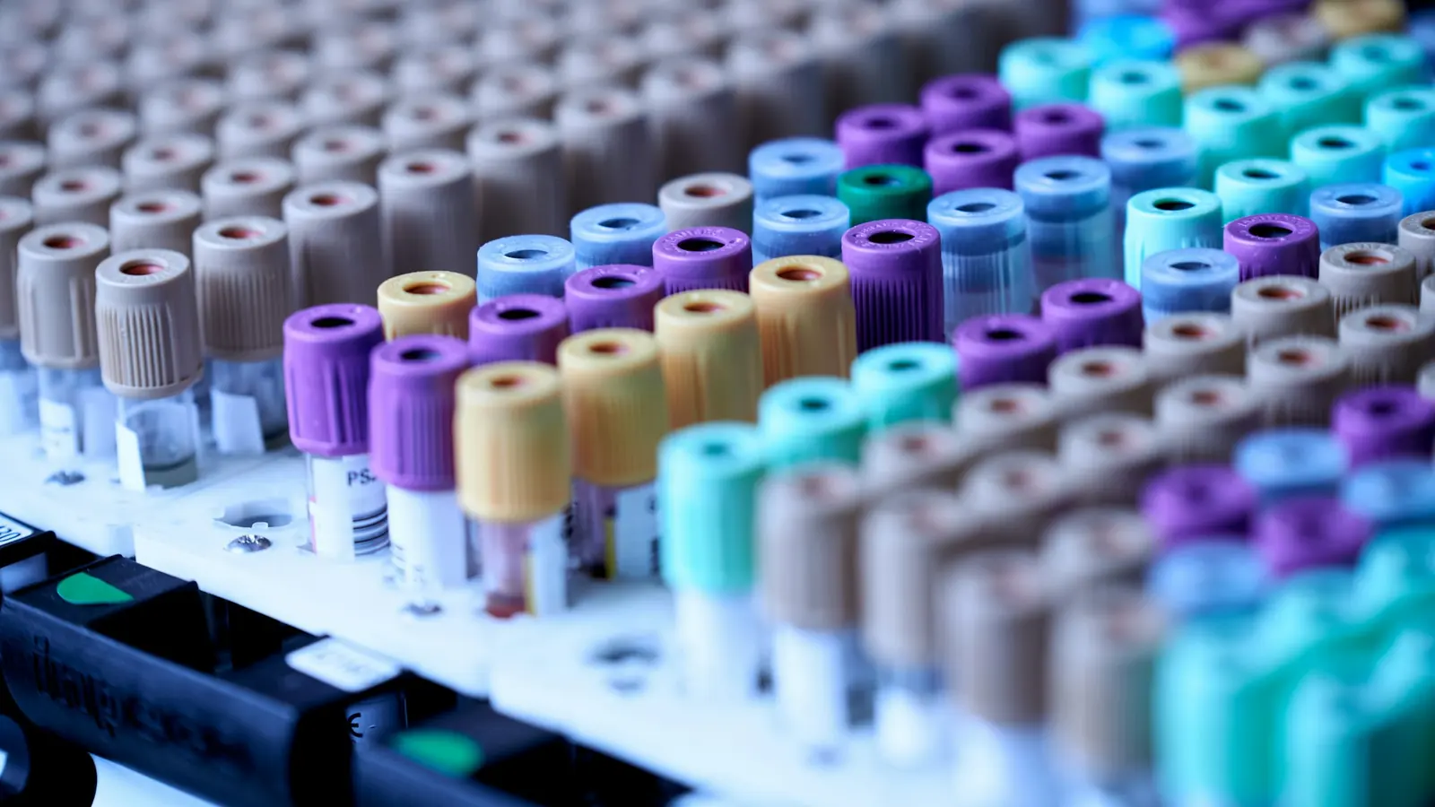 Rastrelliere di provette da laboratorio con tappi colorati