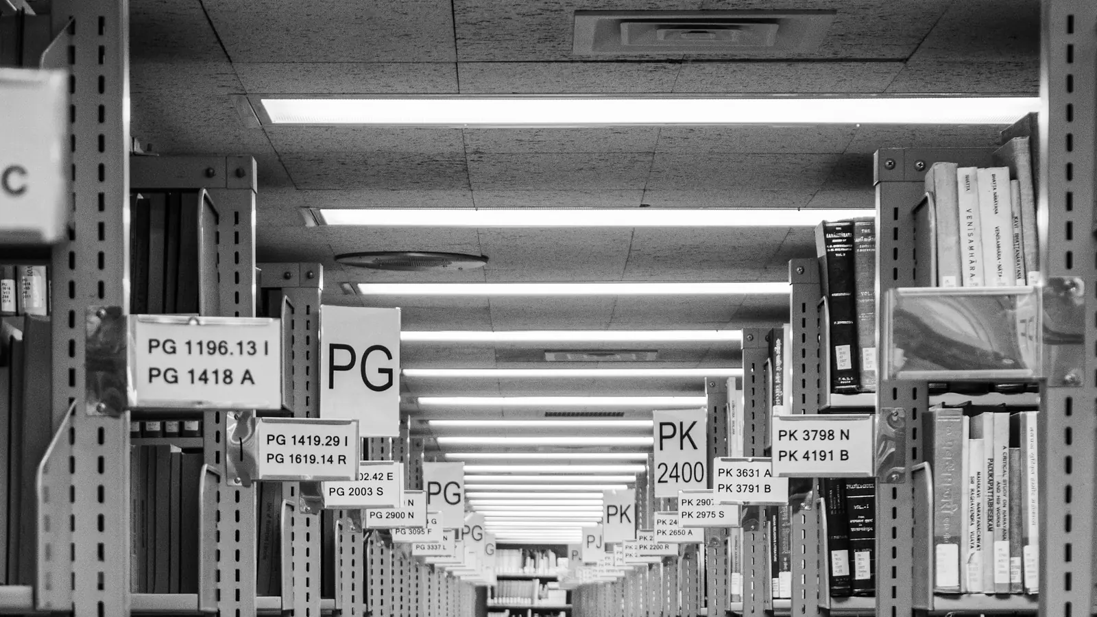 Corridoio tra gli scaffali di una biblioteca con le segnature
