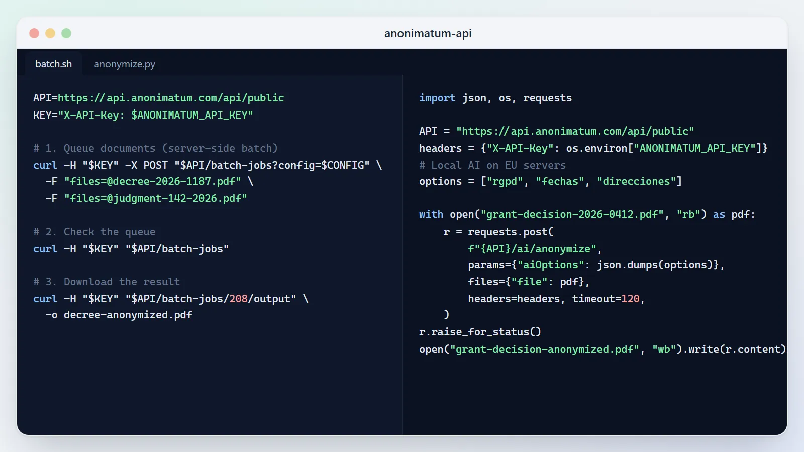 Exemples de code de l'API publique : lot avec curl et anonymisation par IA depuis Python.