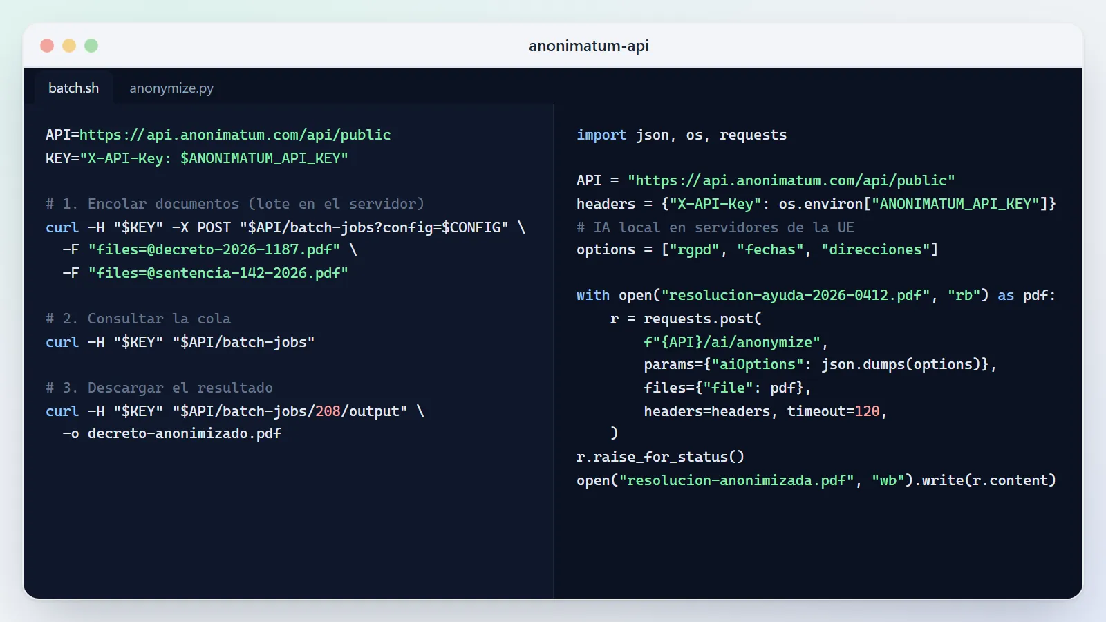 Ejemplos de código de la API pública: lote con curl y anonimización con IA desde Python.