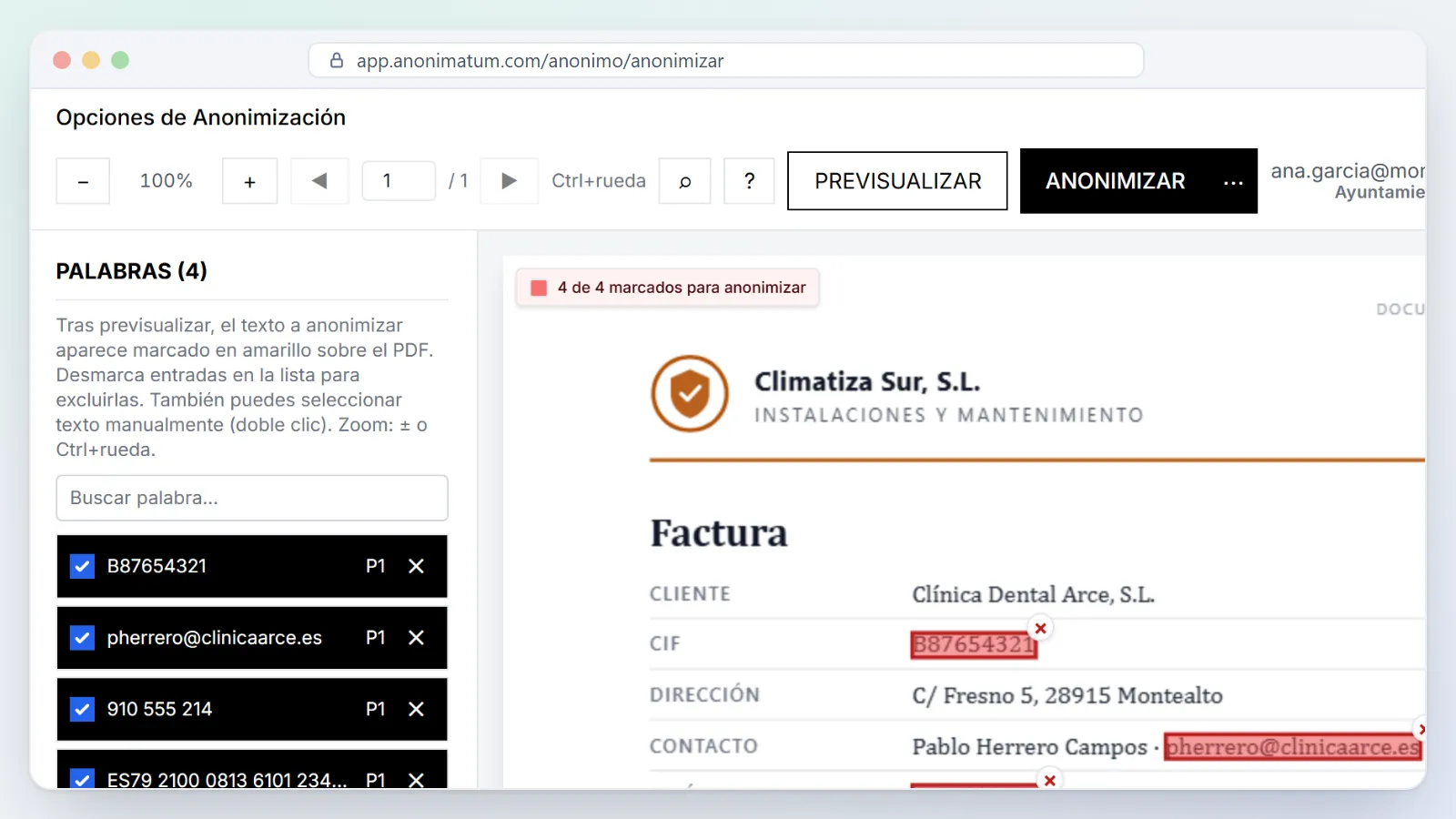 Coincidencias de los patrones en la factura: CIF, correo, teléfono e IBAN, con la lista para revisarlas una a una.